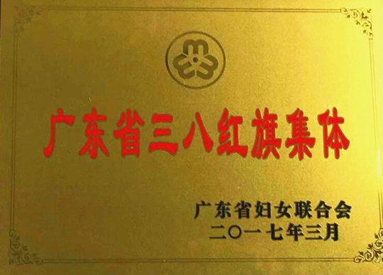 广东省三八红旗集体奖牌